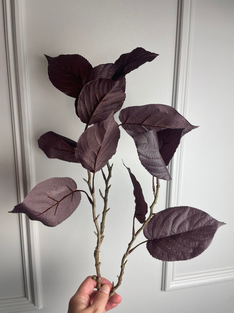 Purple plum aubergine leaf prunus stem