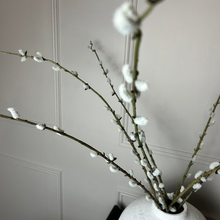 Pussy willow single stem 100cm