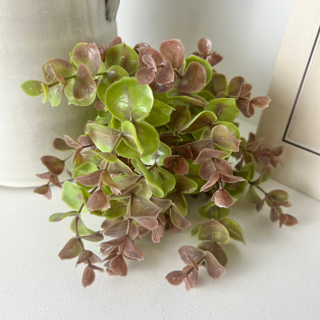 Blush & Green Eucalyptus Spray Bunch