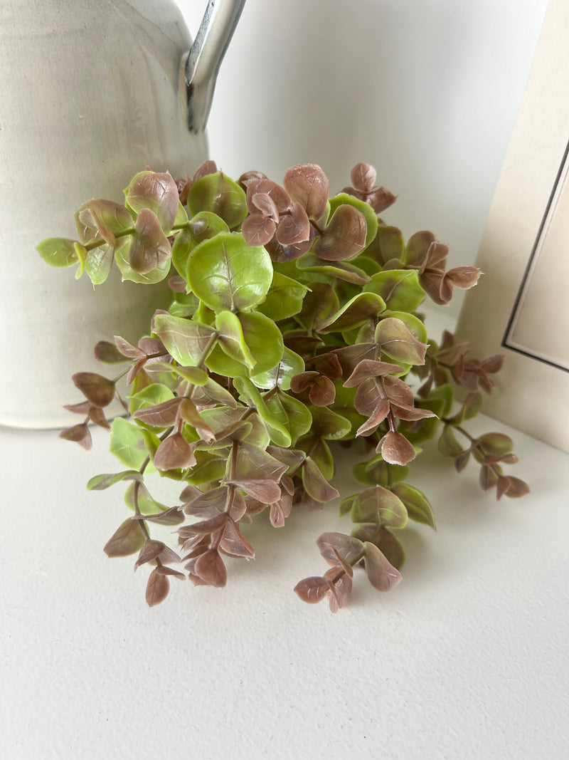 Blush & Green Eucalyptus Spray Bunch