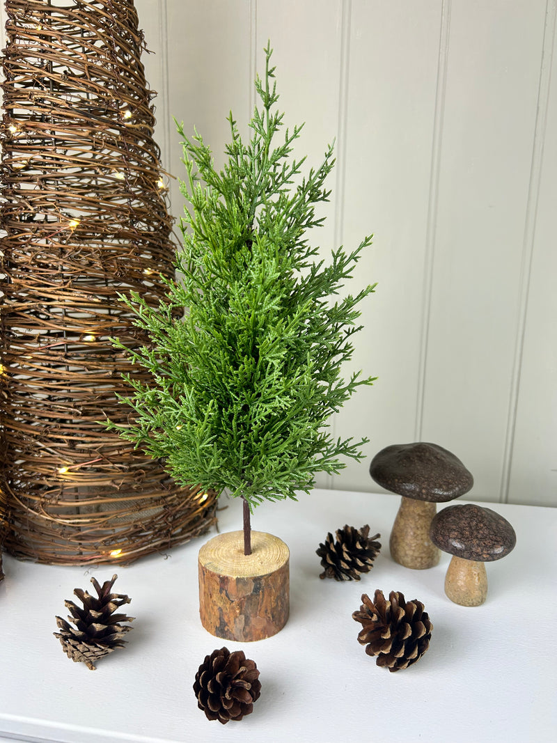 Green Fir Tree on Log Base