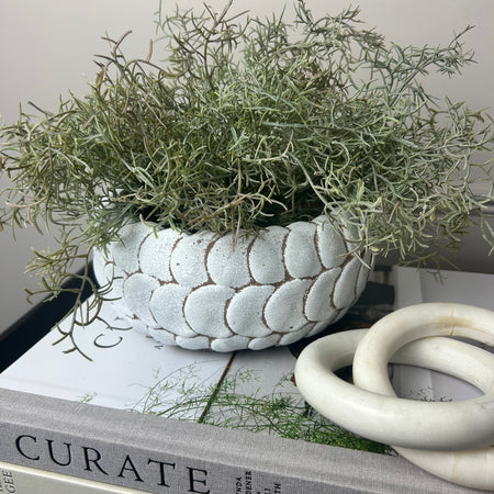 Scallop stone low planter bowl 2 sizes
