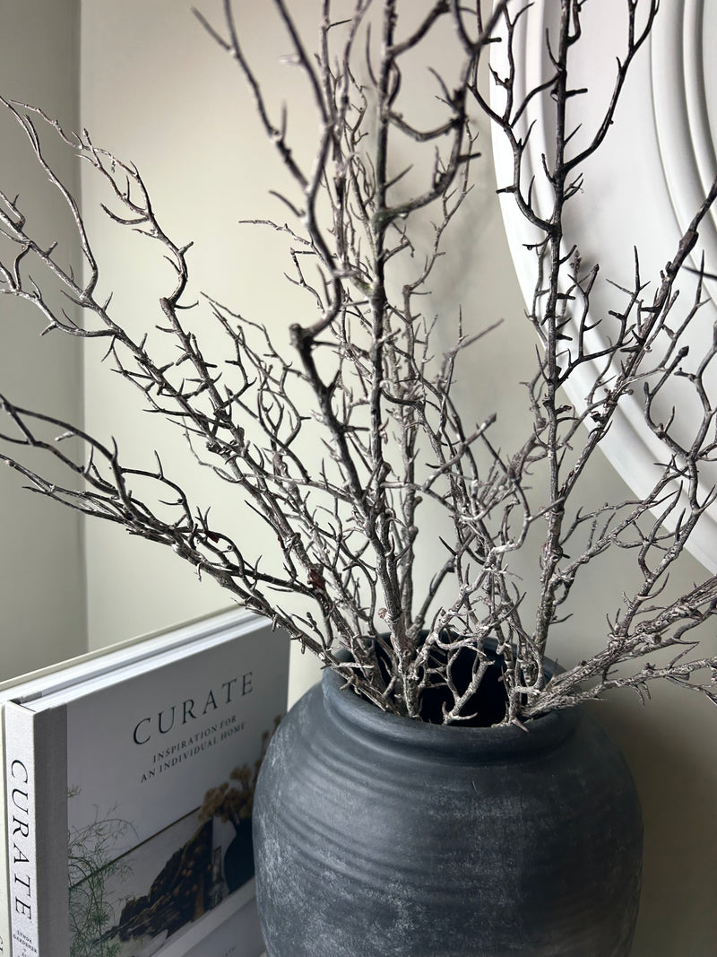 Hawthorn twig Branch