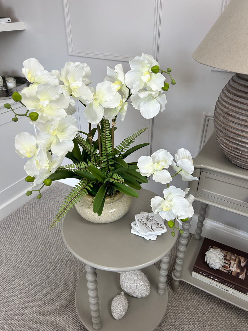 White vanda orchid in ceramic planter pot