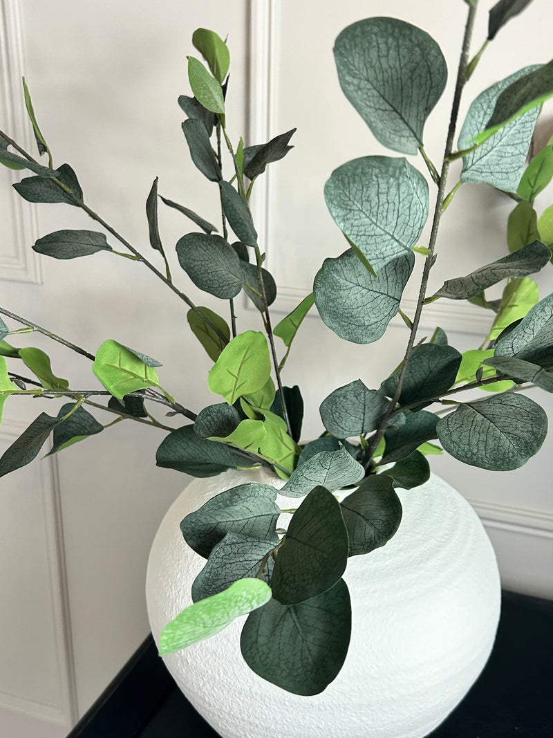 Single stem natural green dollar eucalyptus 72cm