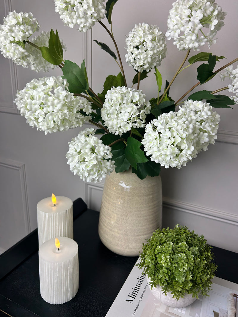 Viburnum Opulus snowball floral stem