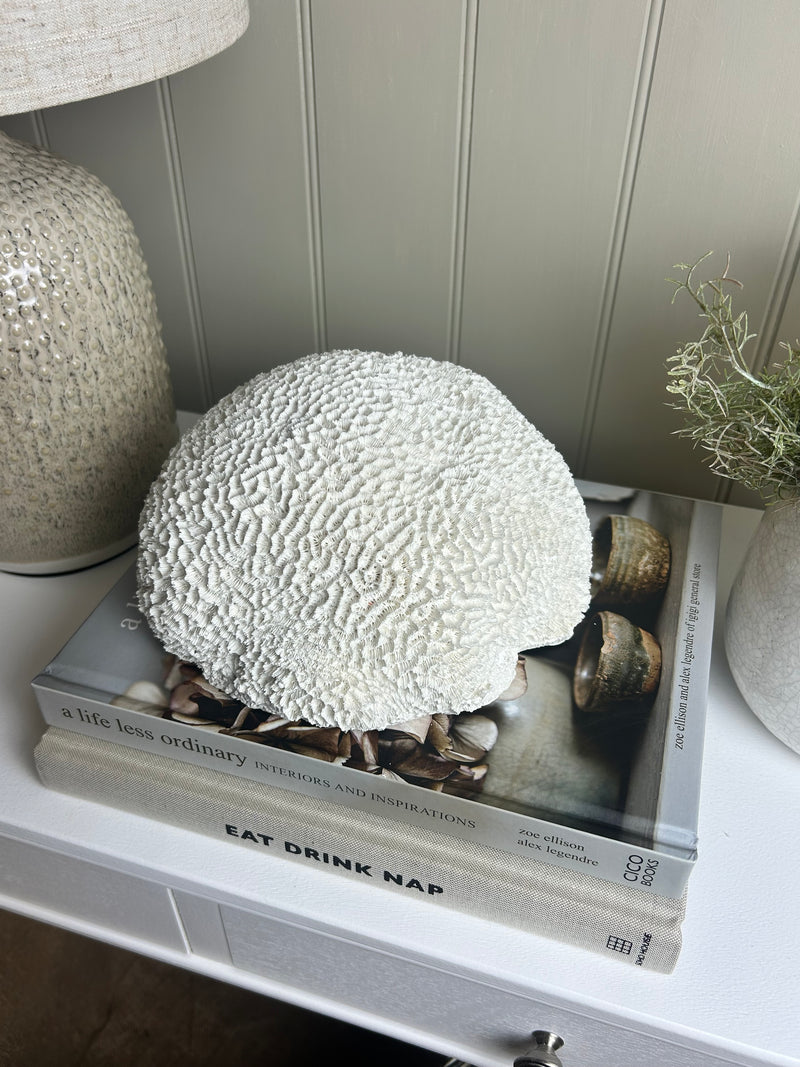 Off White Sitting round large Coral