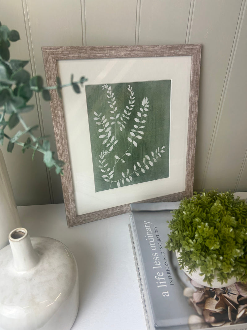 Sage green fern botanicals framed mounted glazed art work pictures 2 styles