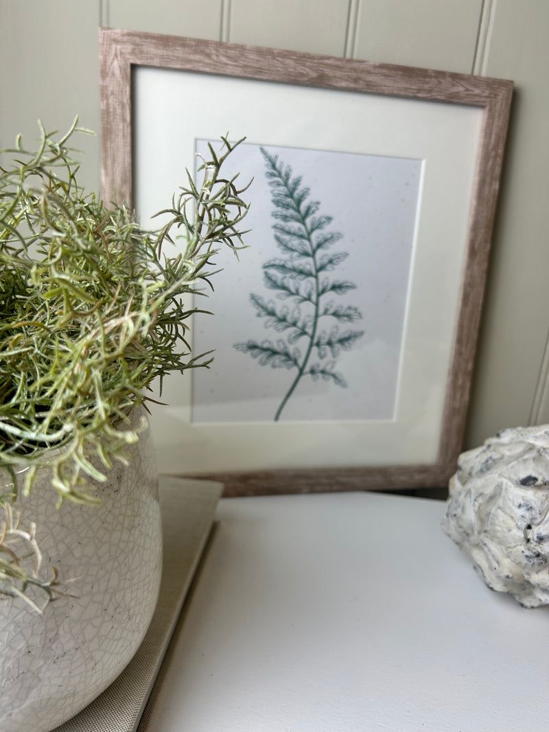 Fern botanical natural green white cream washed wood frame mounted art picture 3 styles