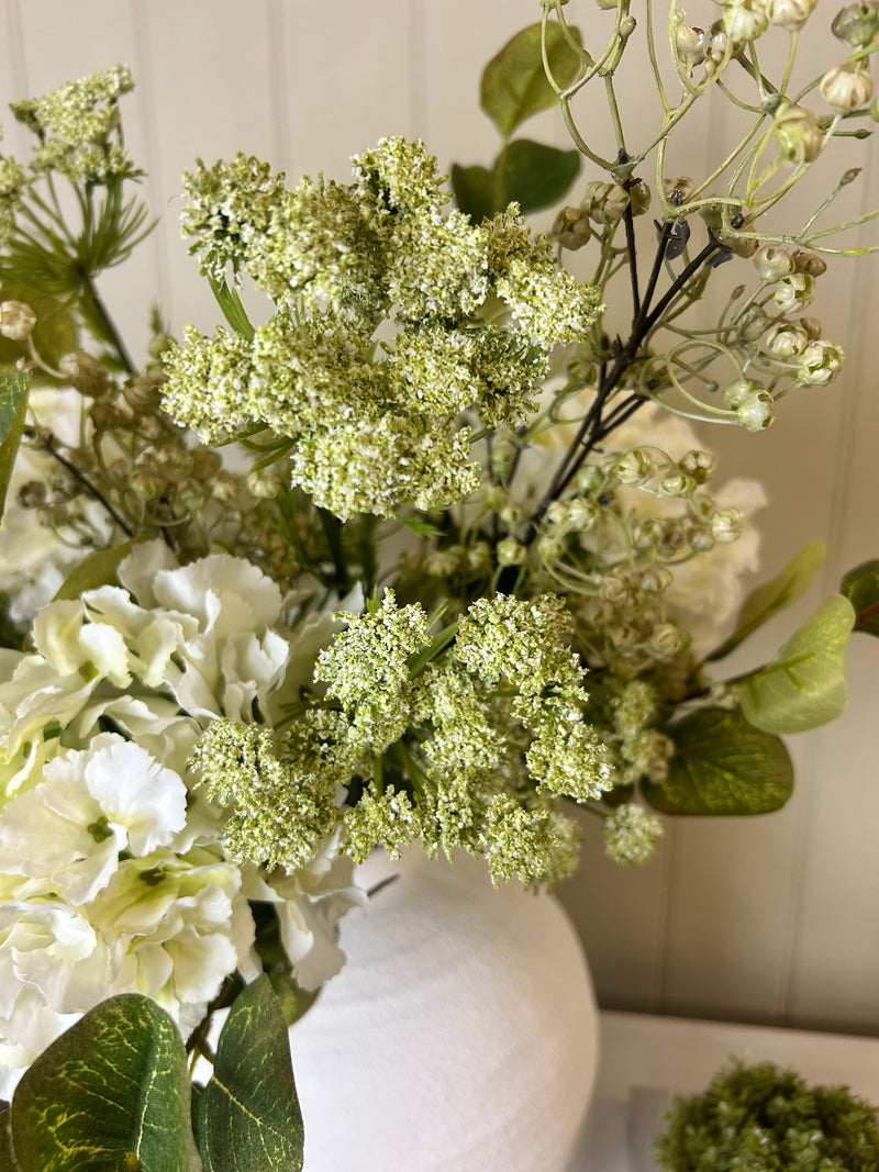 Green cow parsley stem spray