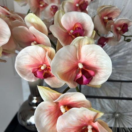 Set of 3 stems real feel pink orchids 106cm