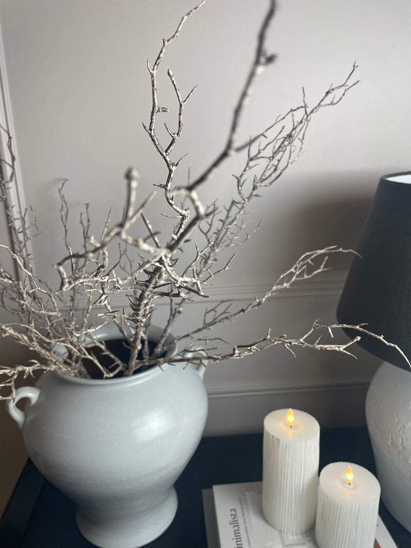 Hawthorn twig Branch
