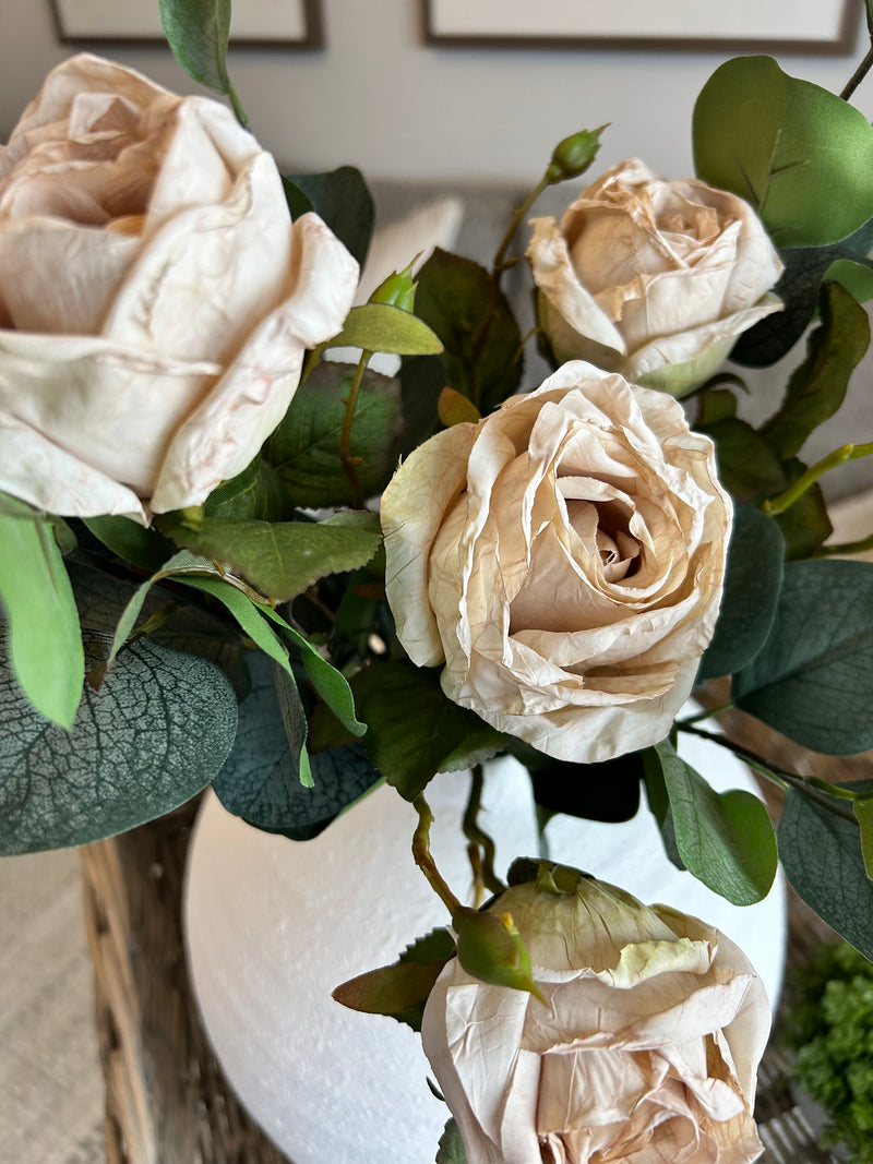 Oyster Dried Touch Single Valera Rose