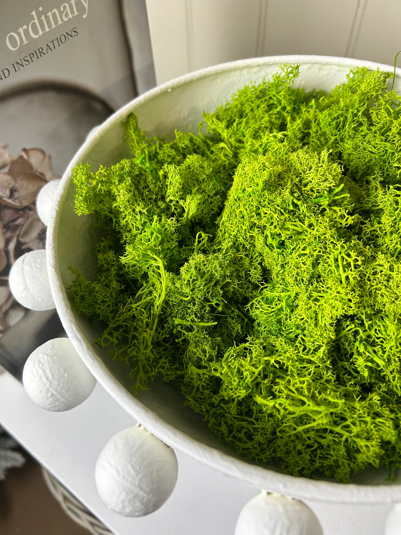 Bag of real dried green moss