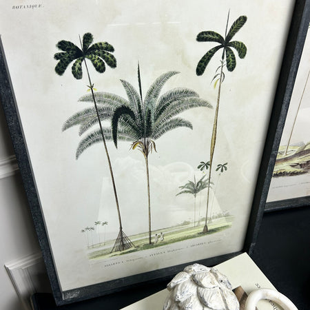 Framed palm prints 56x42cm 2 styles