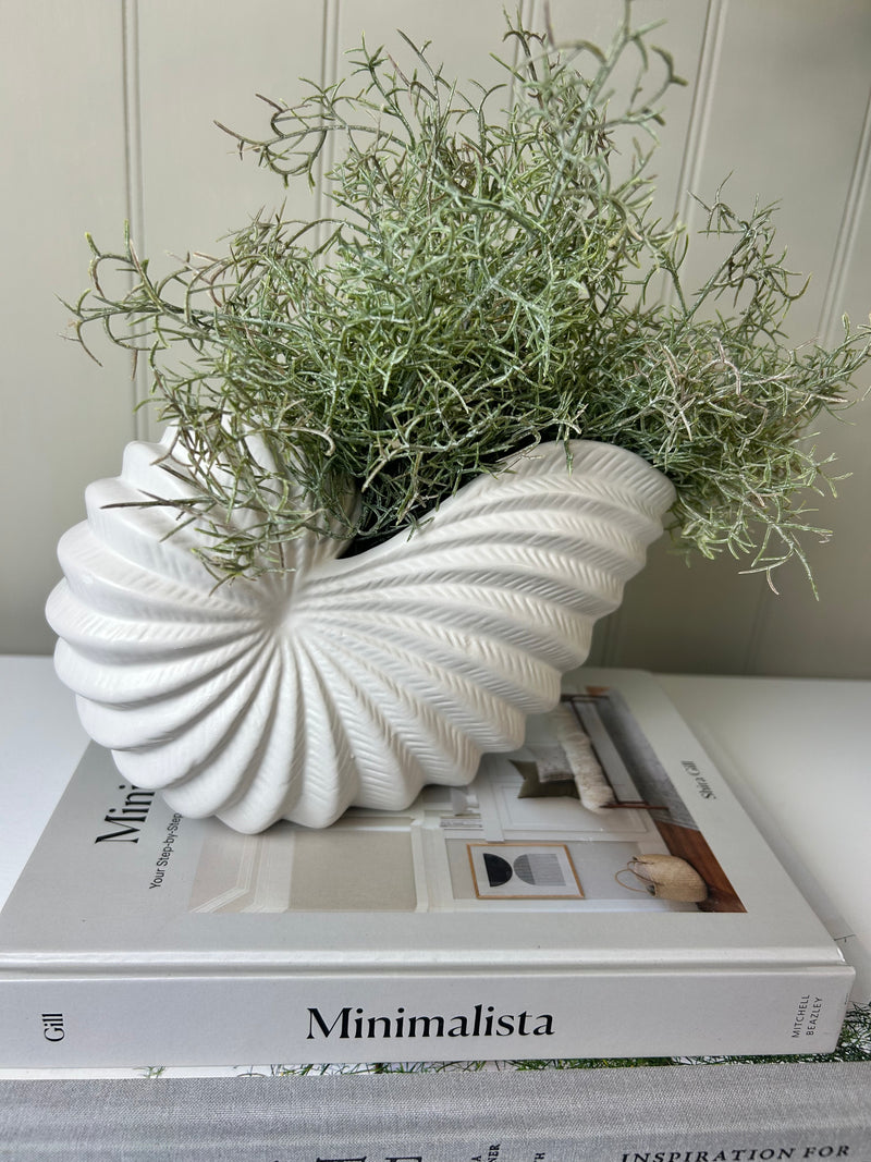 White Conch Shell Planter Pot