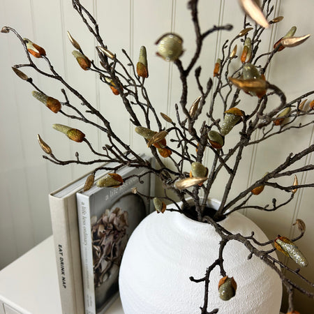 Magnolia stem Branch with gold bud