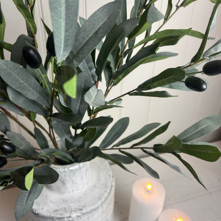 Olive branch stem 85cm