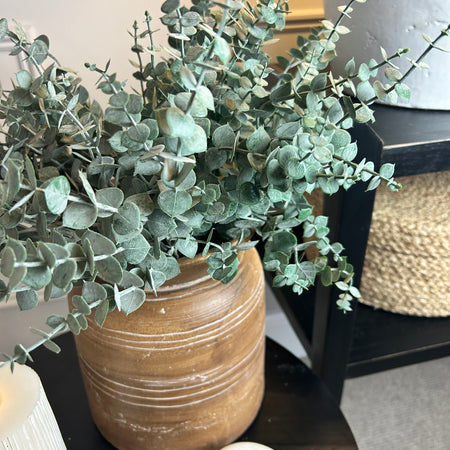 Frosted Eucalyptus multi Stem Bunch 2 sizes 5 and 10 stem