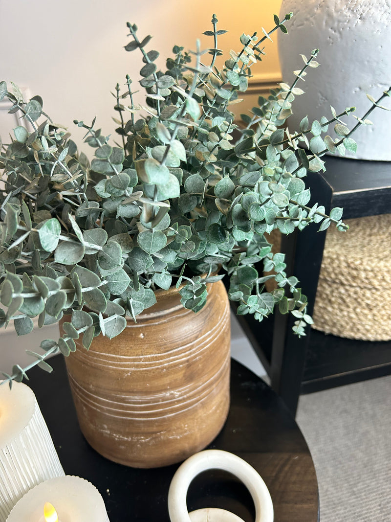 Frosted Eucalyptus multi Stem Bunch 2 sizes 5 and 10 stem