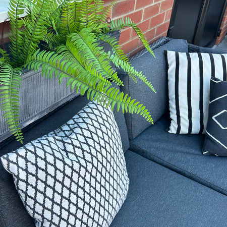 Tree fern bunch natural green pick