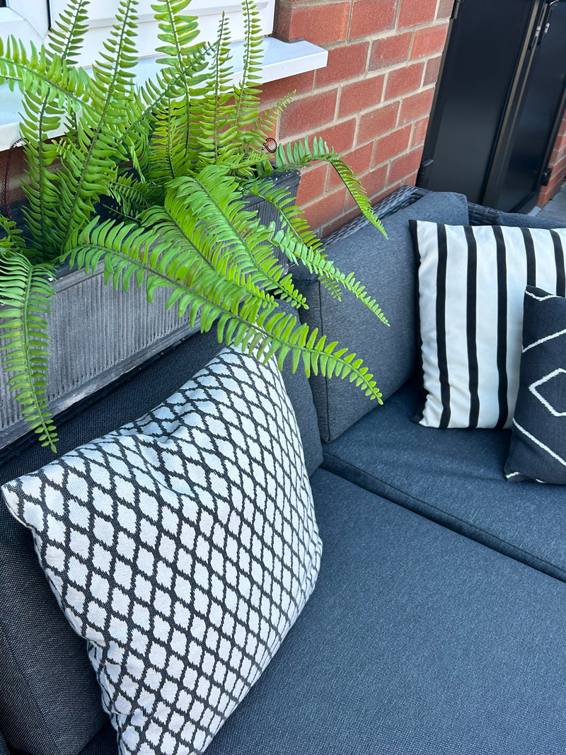 Tree fern bunch natural green pick