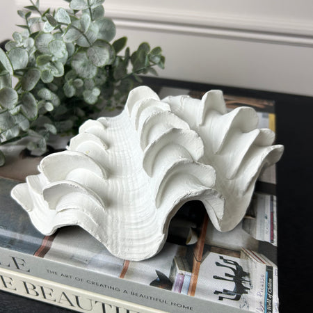 Decorative Sitting Coral Shell Gold & White 2 colours available