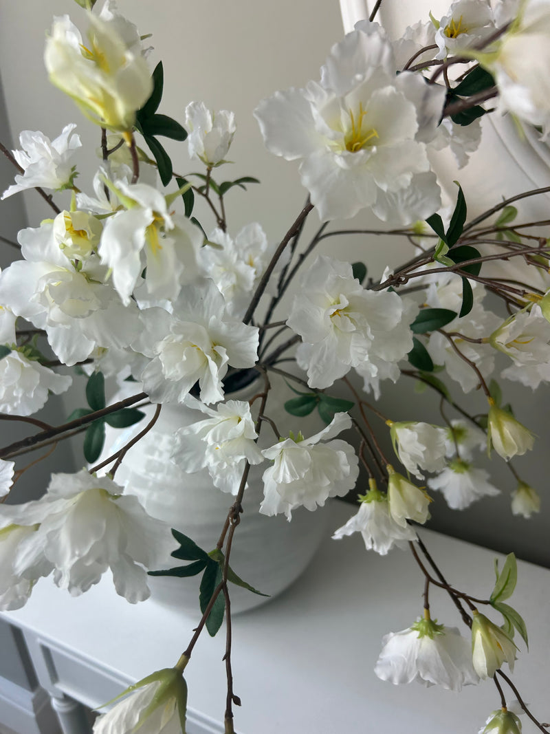 Great cherry blossom stem tall