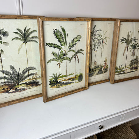 Palm print with bamboo frame 4 styles