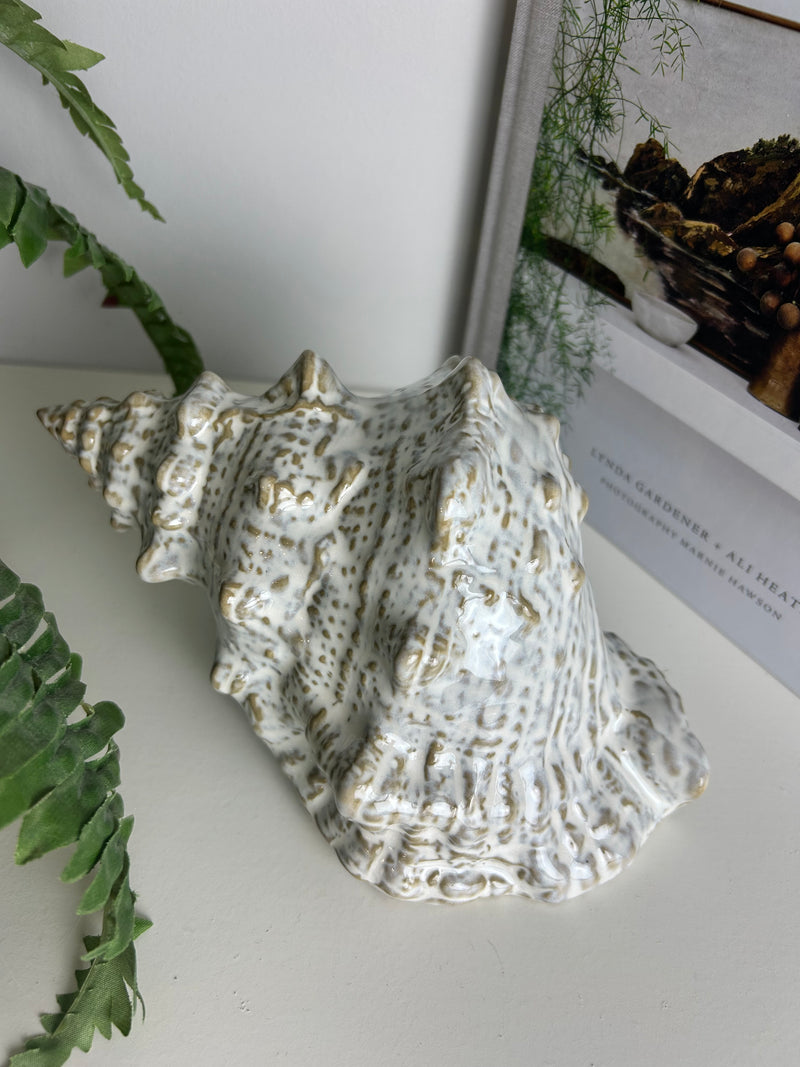 Off White Taupe Two Tone Ceramic Conch Shell