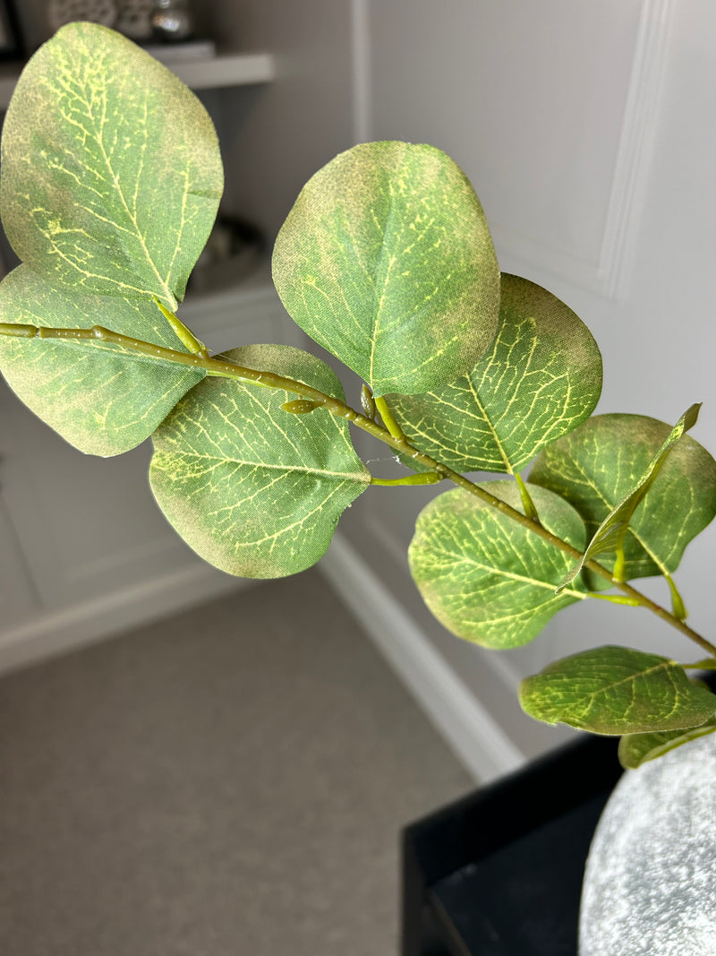 Single stem natural green & Brown dollar eucalyptus 72cm