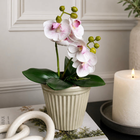 Phalaenopsis Orchid Spray plant pick Bunch 2 Colours