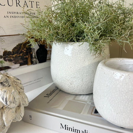 Ravello Crackle Glaze Plant Pot medium & large