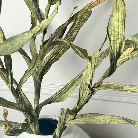 Tall green reed stem 102cm