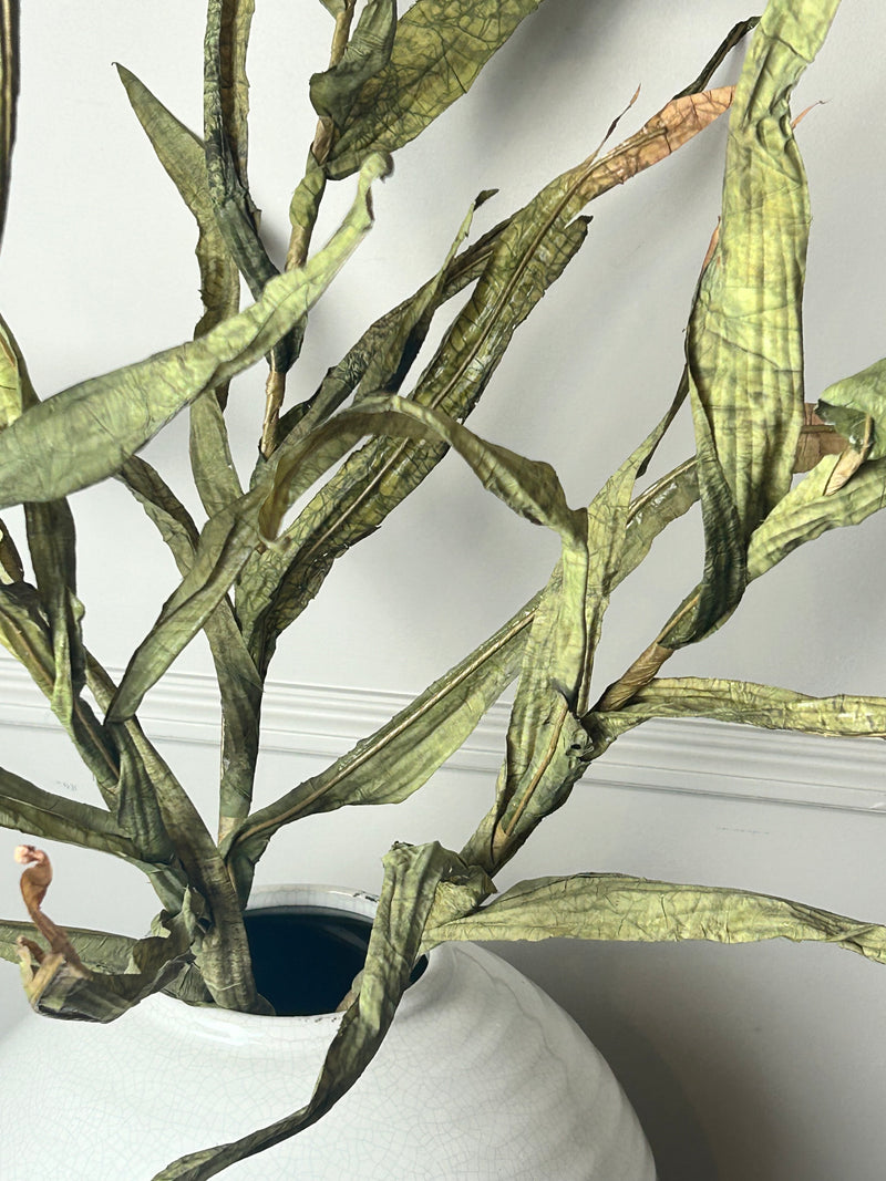 Tall green reed stem 102cm