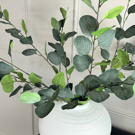 Single stem natural green dollar eucalyptus 72cm