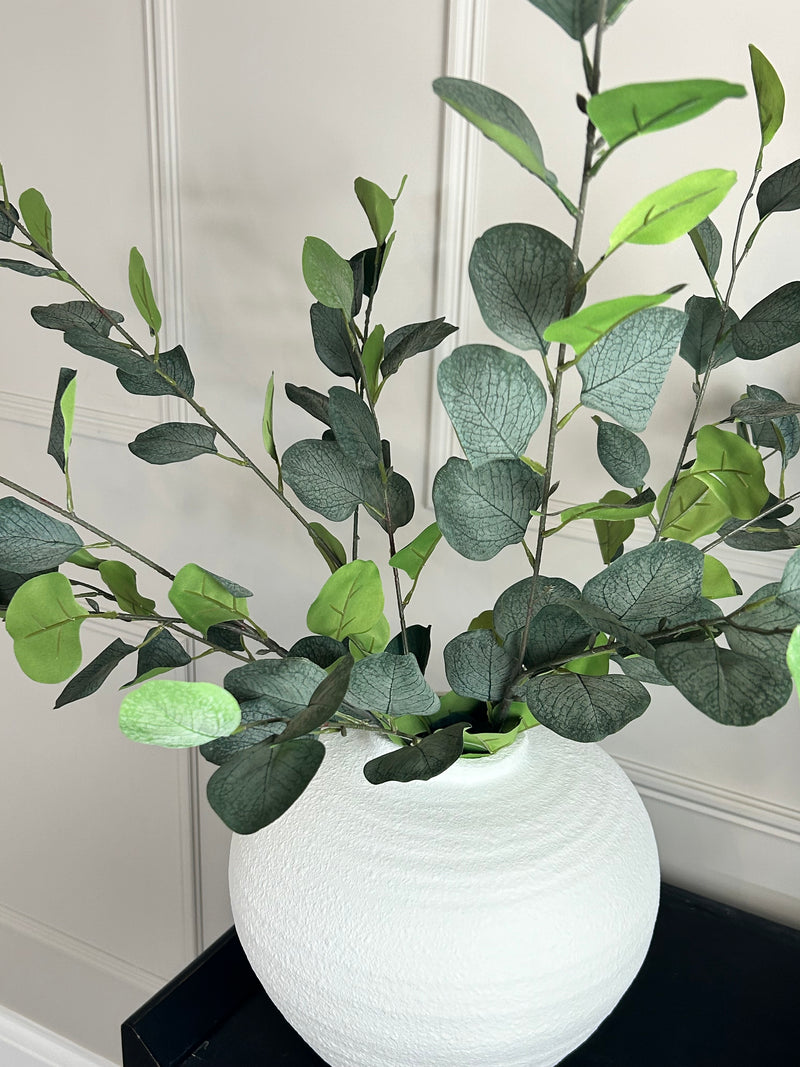 Single stem natural green dollar eucalyptus 72cm