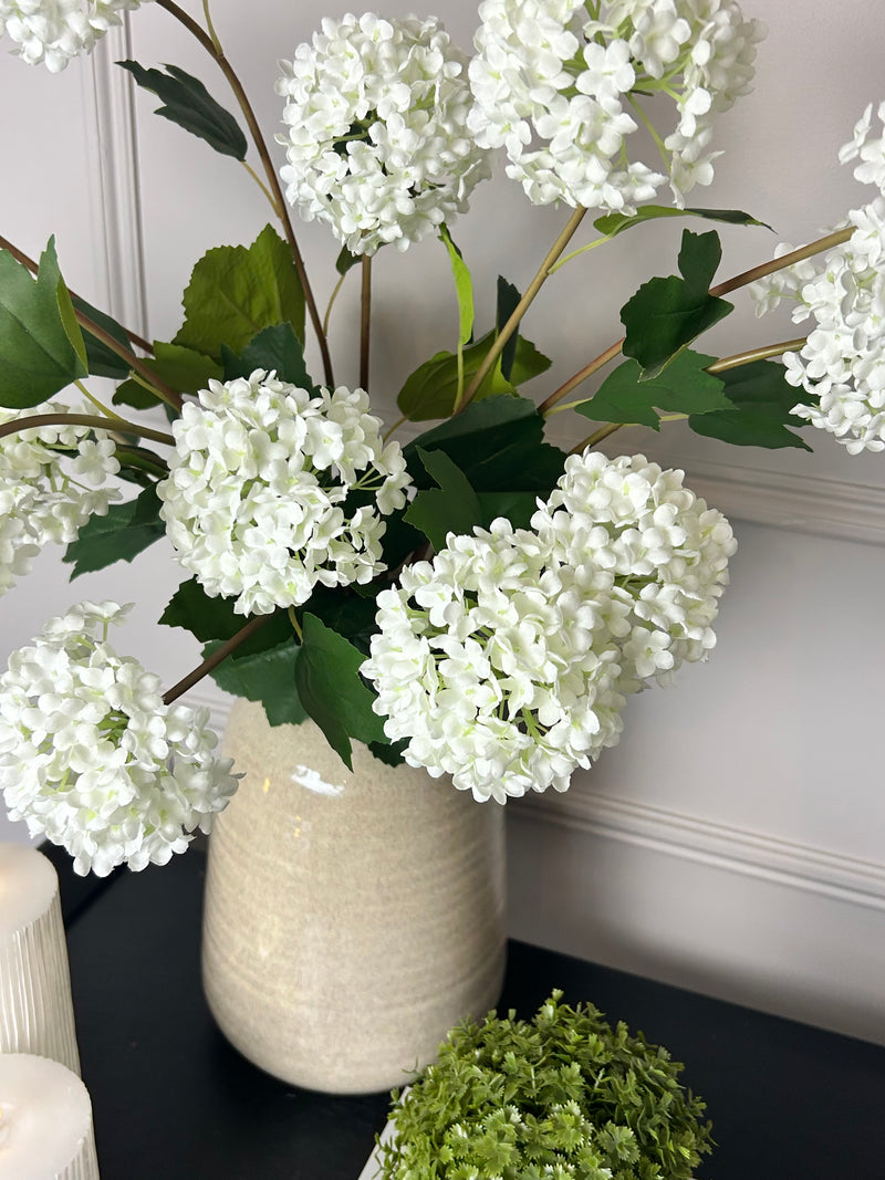Viburnum Opulus snowball floral stem