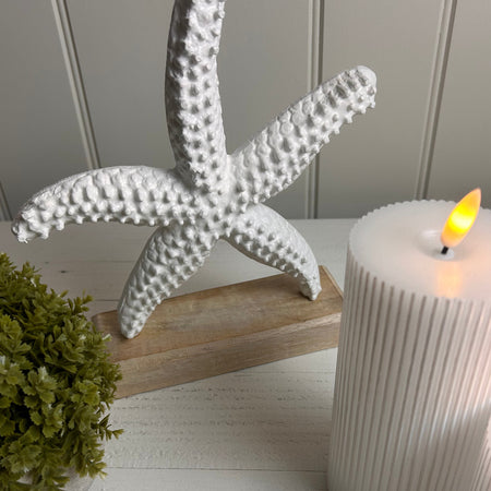 Chunky White Starfish on Wood Base