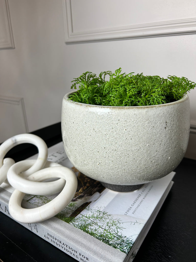 Speckled bowl plant pot on foot