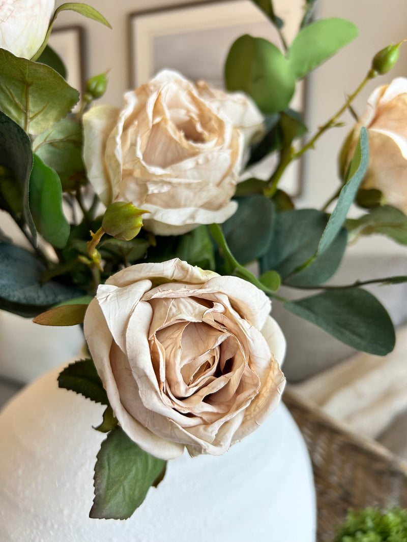 Oyster Dried Touch Single Valera Rose