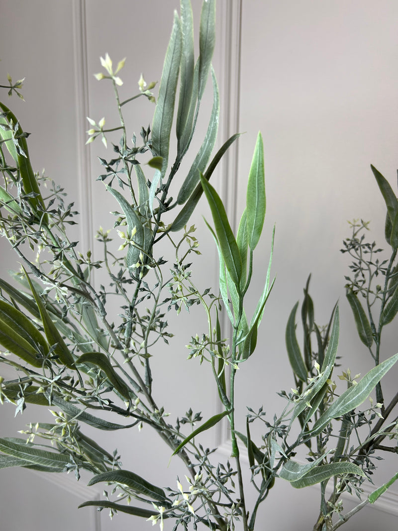 Green natural palm Philadendron spray stem