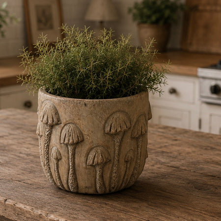 Rustic Toadstool Plant Pot 12.5cm