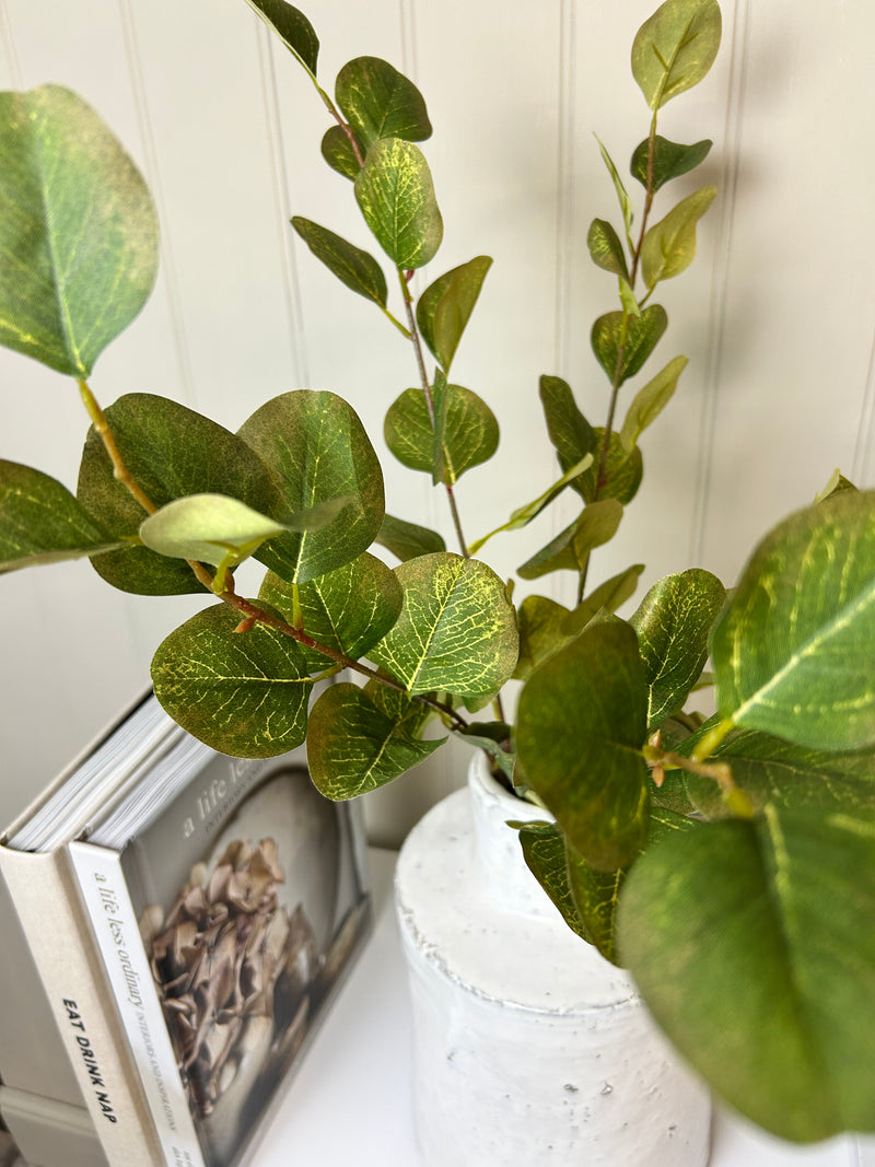 Dollar eucalyptus bunch autumn green brown tones multi stem 55cm