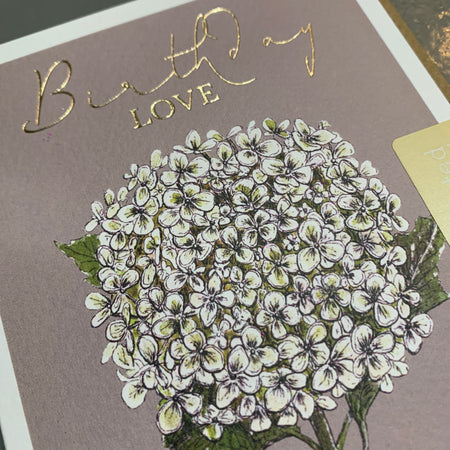 ‘Birthday Love’ Greeting Card