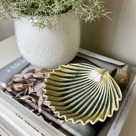 Dark green shell leaf soap dish