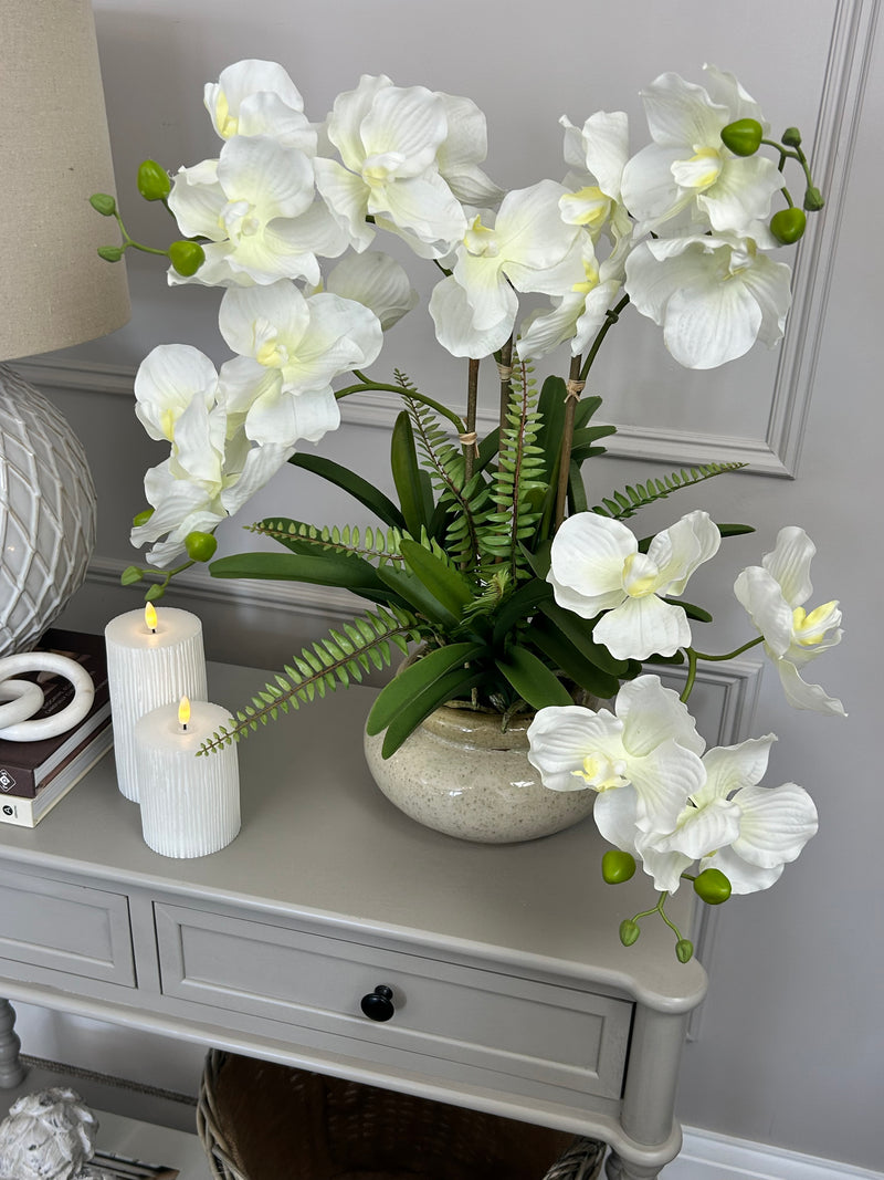 White vanda orchid in ceramic planter pot