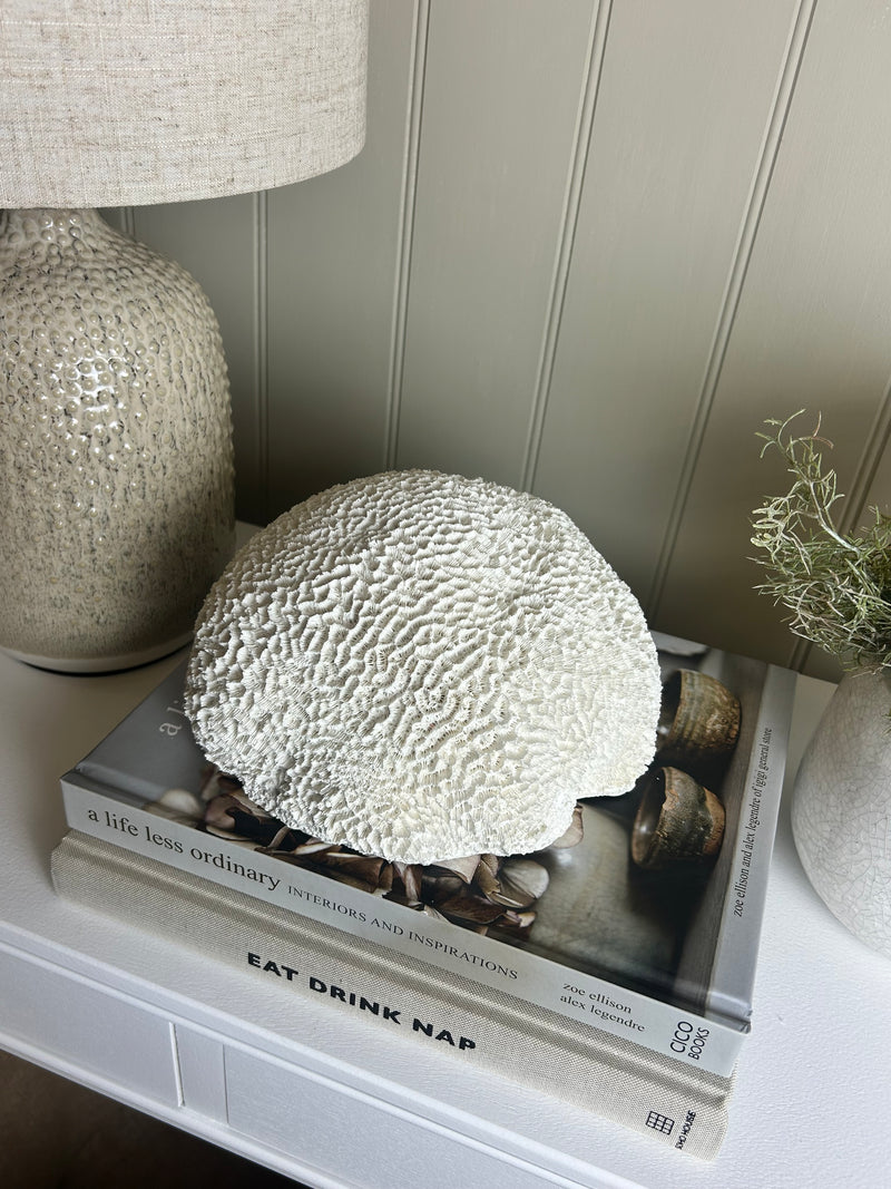 Off White Sitting round large Coral