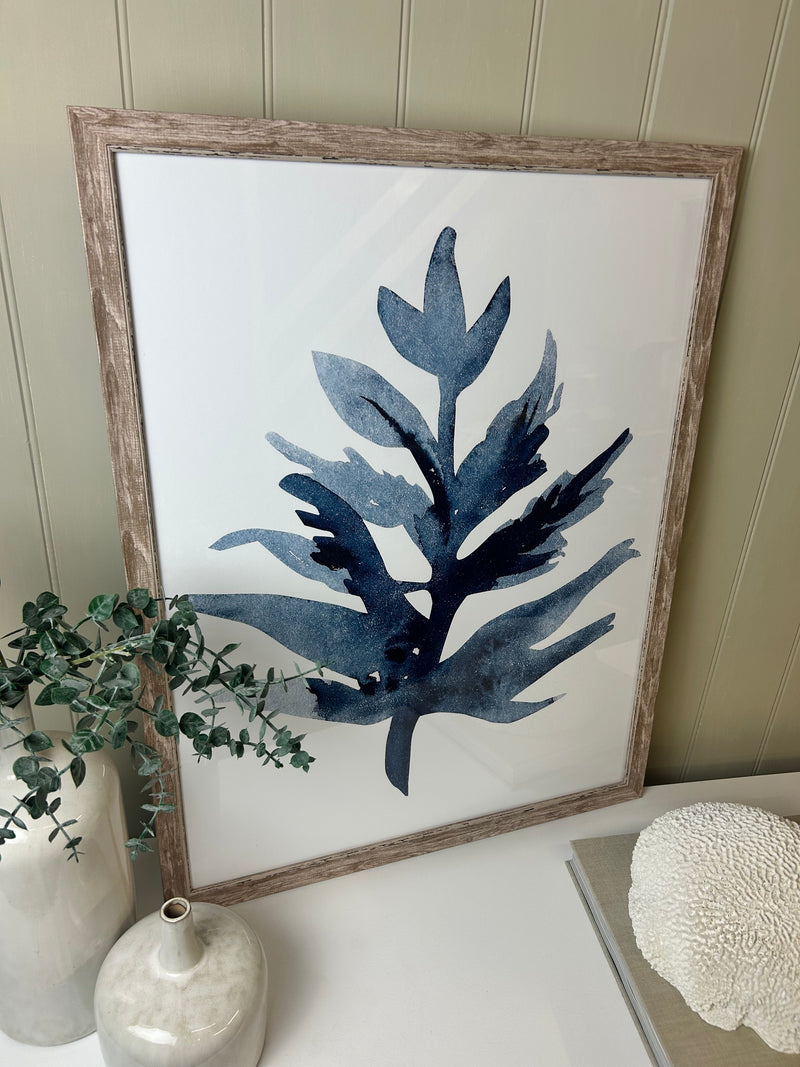 Blue wood framed coral seaweed pictures art 3 styles