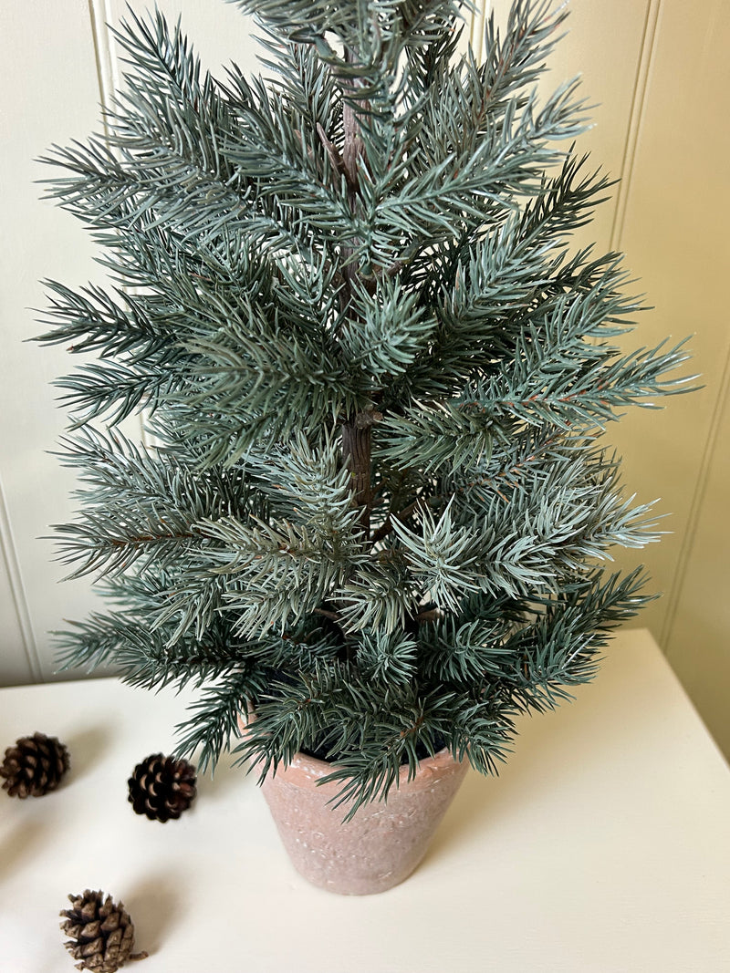 Tall 70cm potted terracotta pine tree